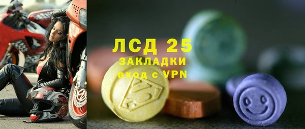 мяу мяу мука Шали