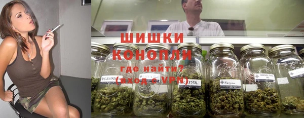 дживик Абаза
