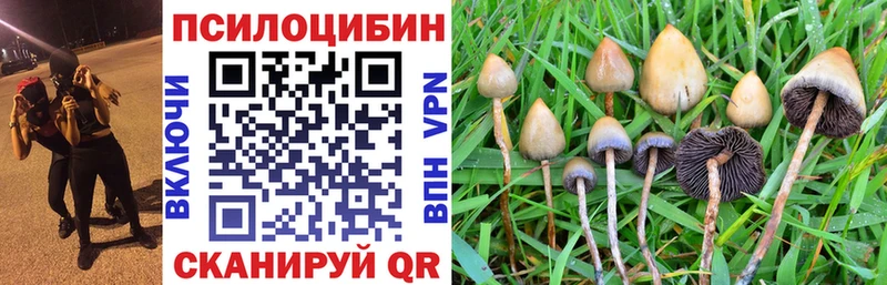 Галлюциногенные грибы Magic Shrooms цены Кисловодск